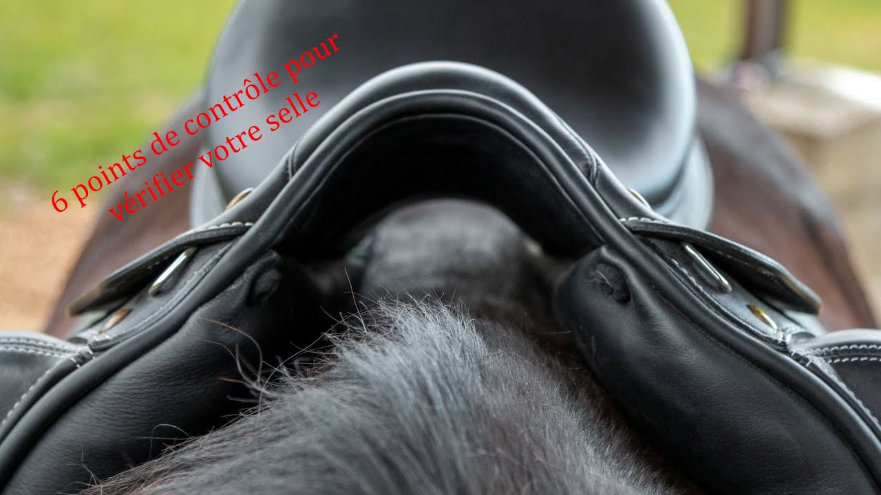 6 points de contrôle pour vérifier si votre selle de dressage est adaptée au dos de votre cheval