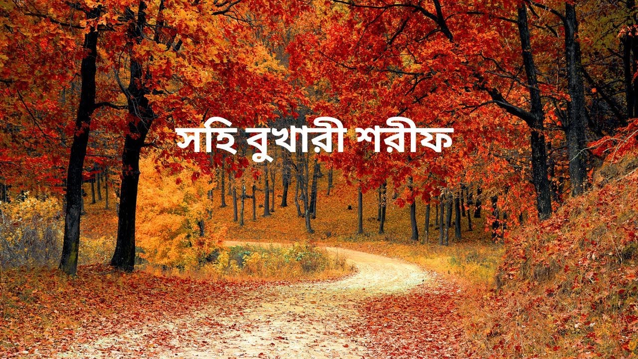 মানতে পারি  প্রিয়  মনীষীদের বাণী |tuhen tv| Prio Bani| Quran ar Bani| Bani chironton|