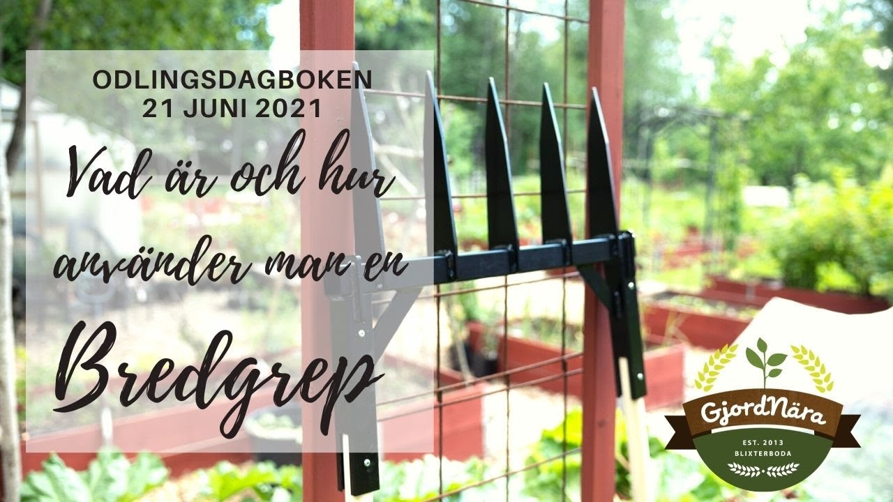 Vad är och hur använder man en bredgrep - odlingsdagboken 21 Juli 2021
