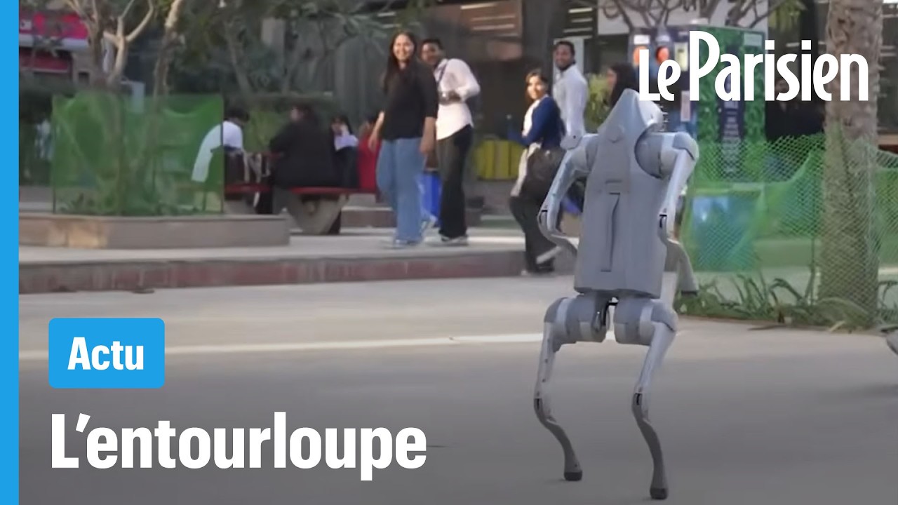 Une université indienne revendique un robot chinois et se fait démasquer