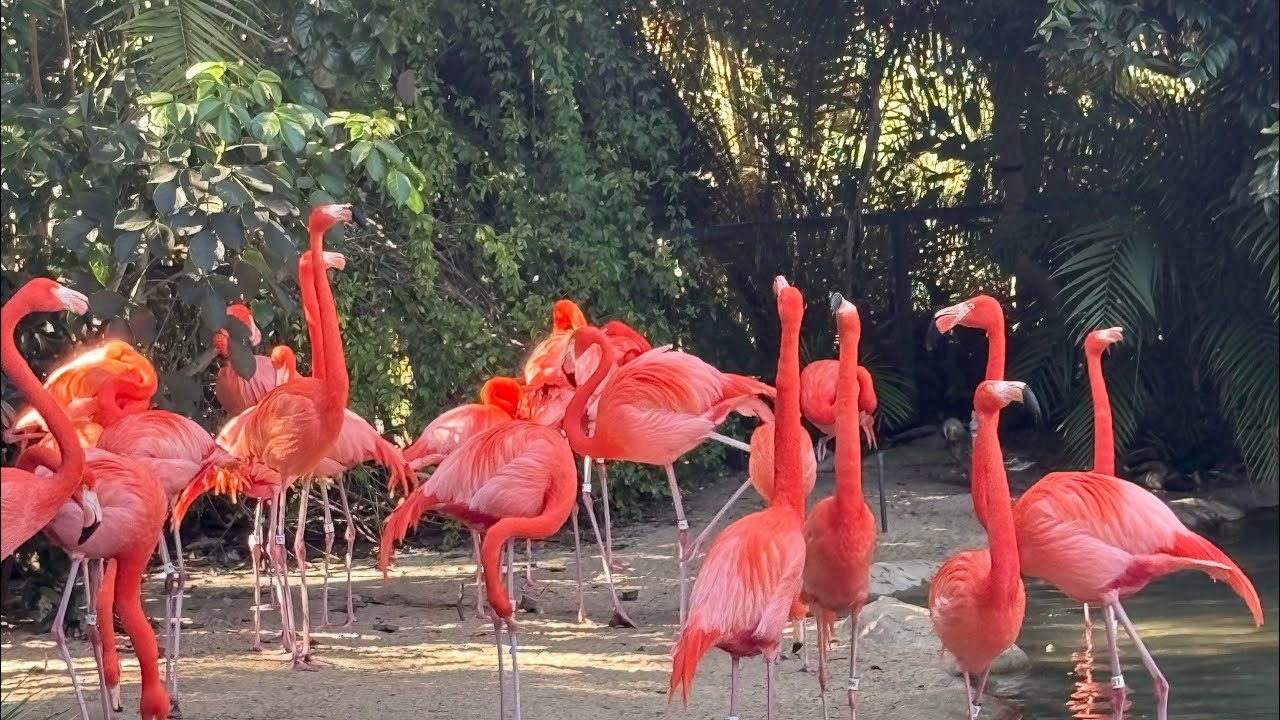 FamBond at San Diego