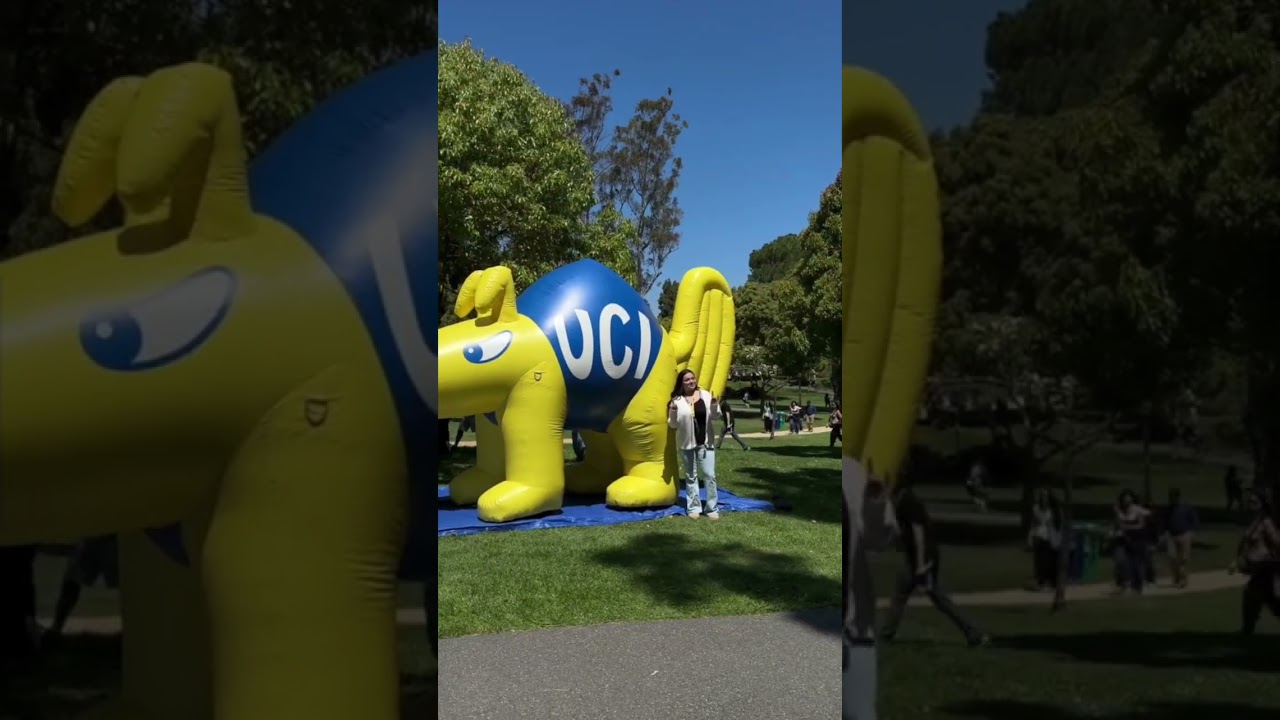 Celebrate UCI 2025 Recap