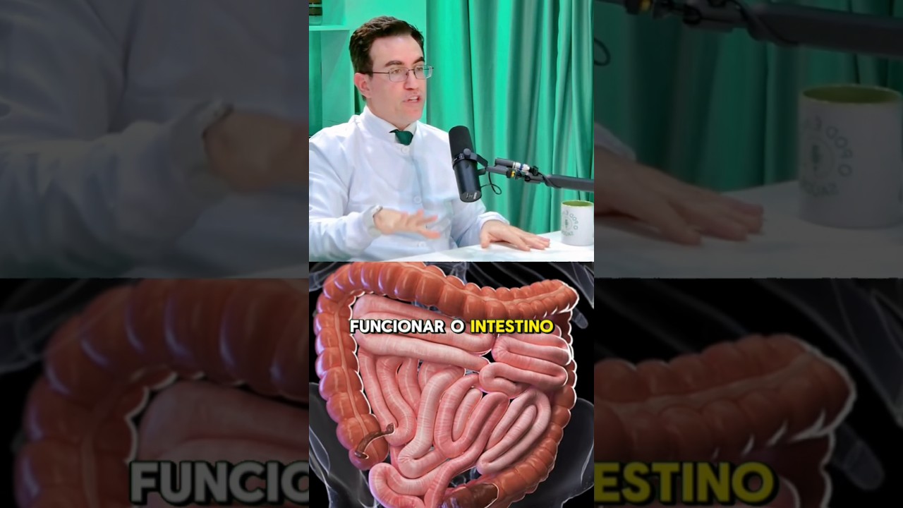 Melhores Probi&oacute;ticos para o Intestino! 🗣️ Tiago Rocha Palestrante #saude #probioticos #intestino