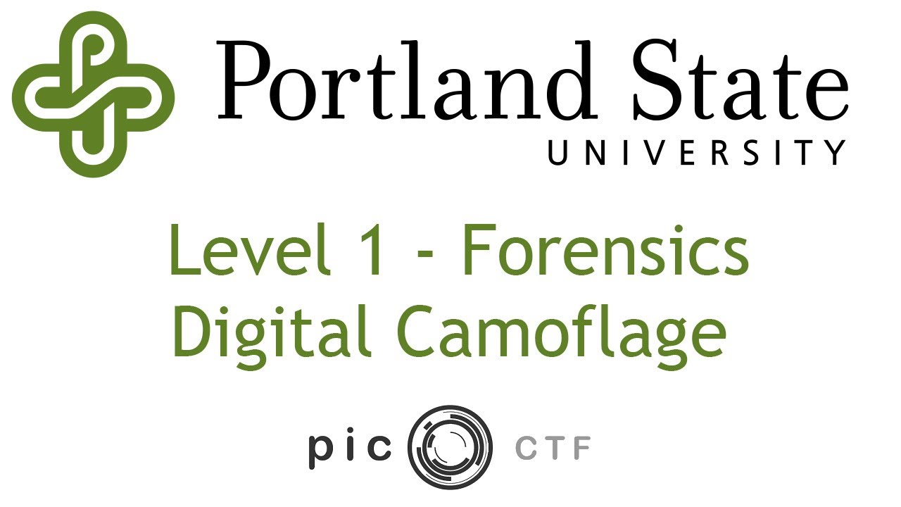 PicoCTF 2017 - Digital Camoflage Walkthrough