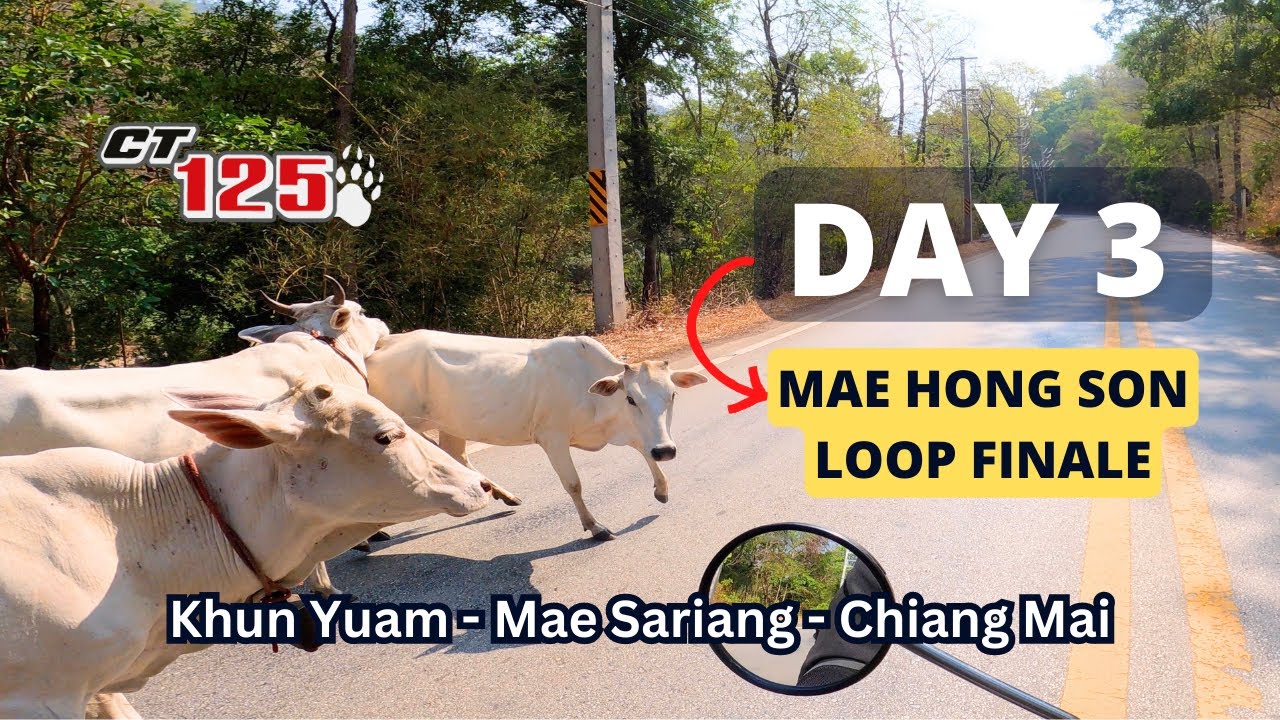 The Final Leg | Mae Hong Son Loop | Khun Yuam -  Mae Sariang to Chiang Mai | Honda CT125 - Trail 125