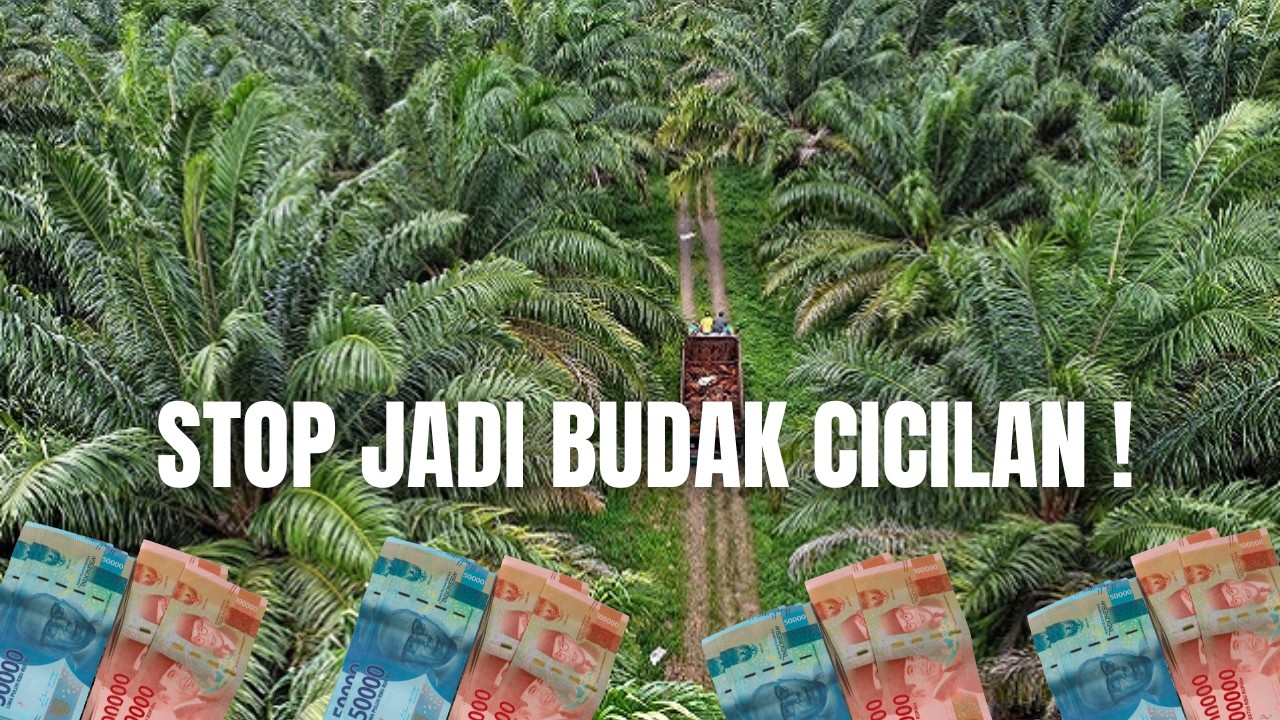 Kebun 10 Hektar Tapi Pusing Cicilan? Ternyata Ini Kesalahan Fatal Kelola Keuangan Sawit