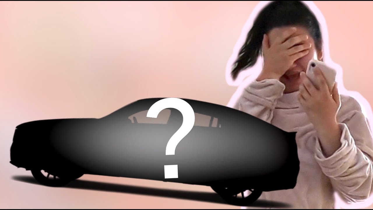 Je Me Suis Fait Voler Ma Voiture