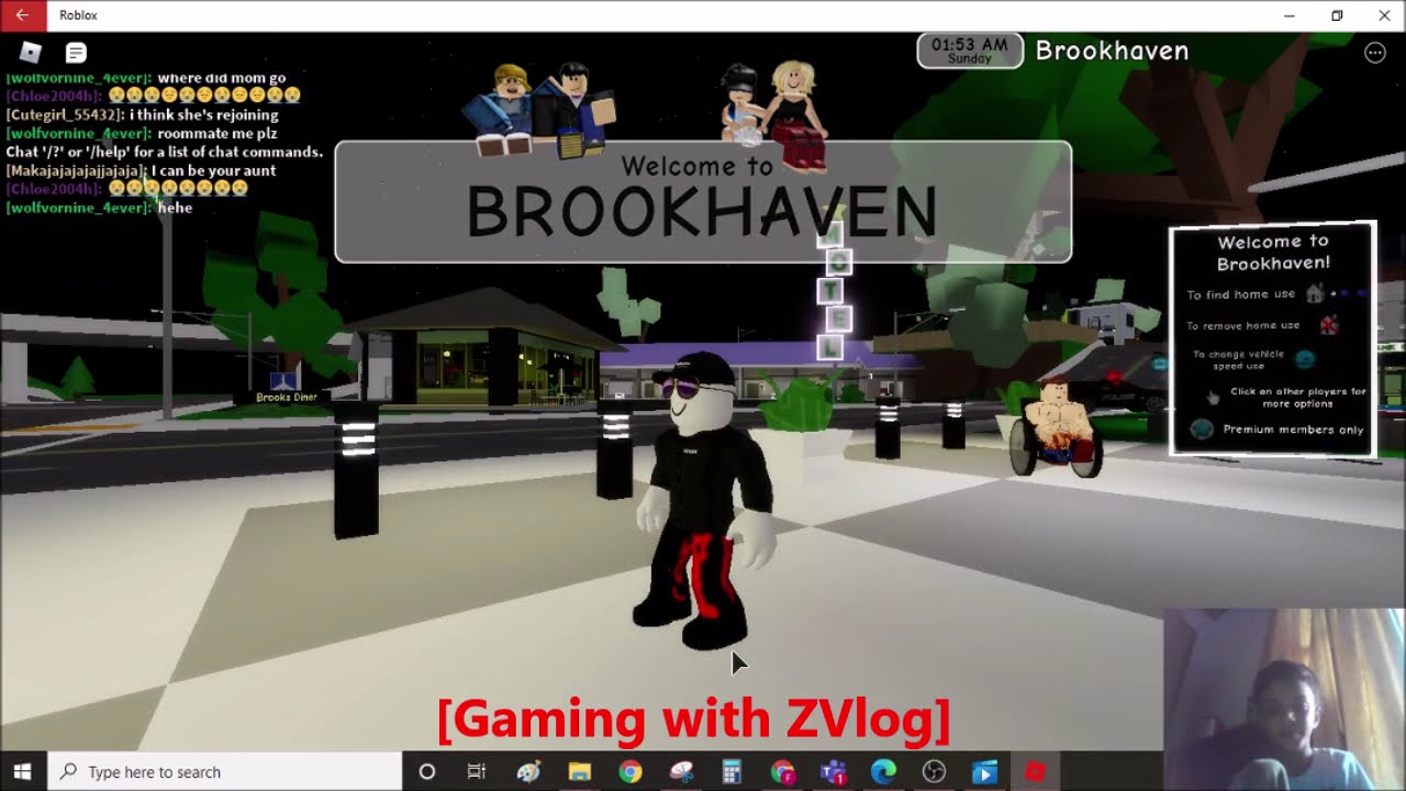 Gaming with ZVlog | Episode 1 | Brookhaven