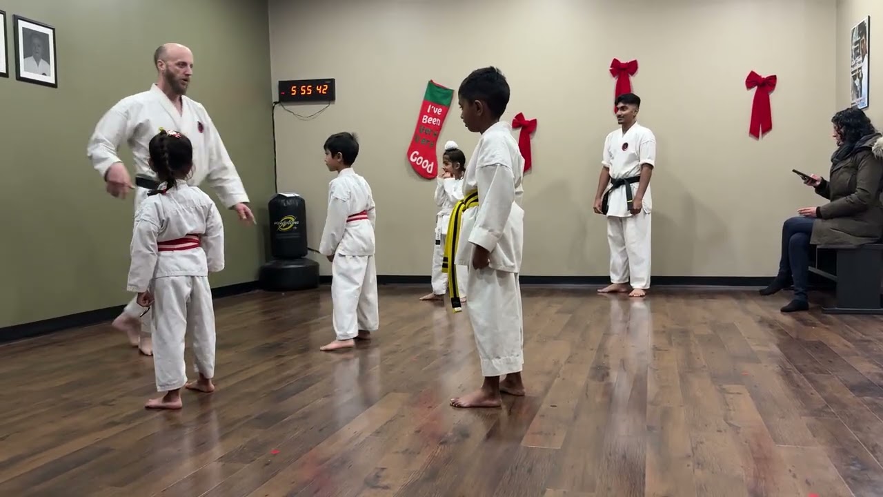 Harnam karate class