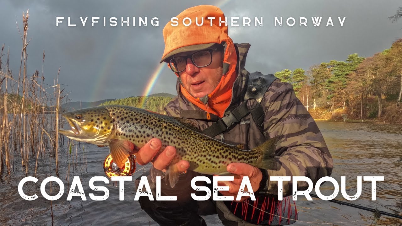 Fly Fishing Southern Norway - the coastal sea trout