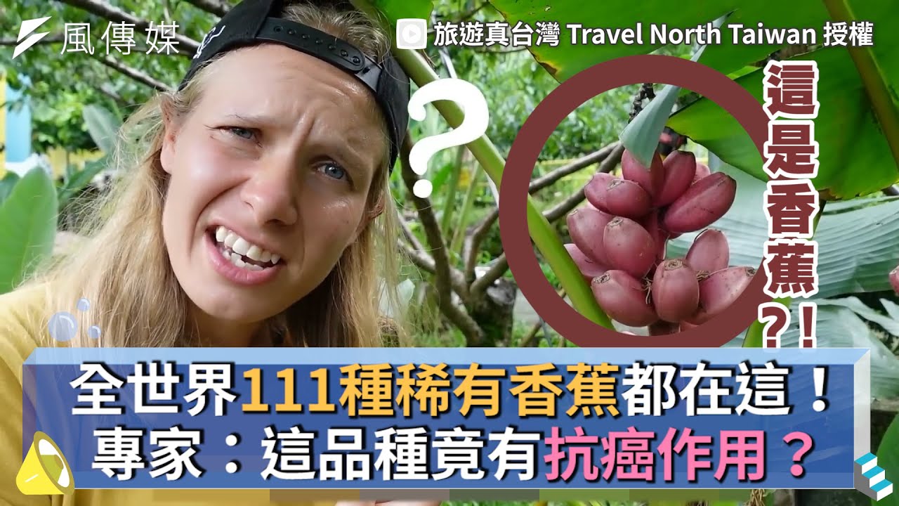 全世界111種稀有香蕉都在這！專家：這品種竟有抗癌作用？