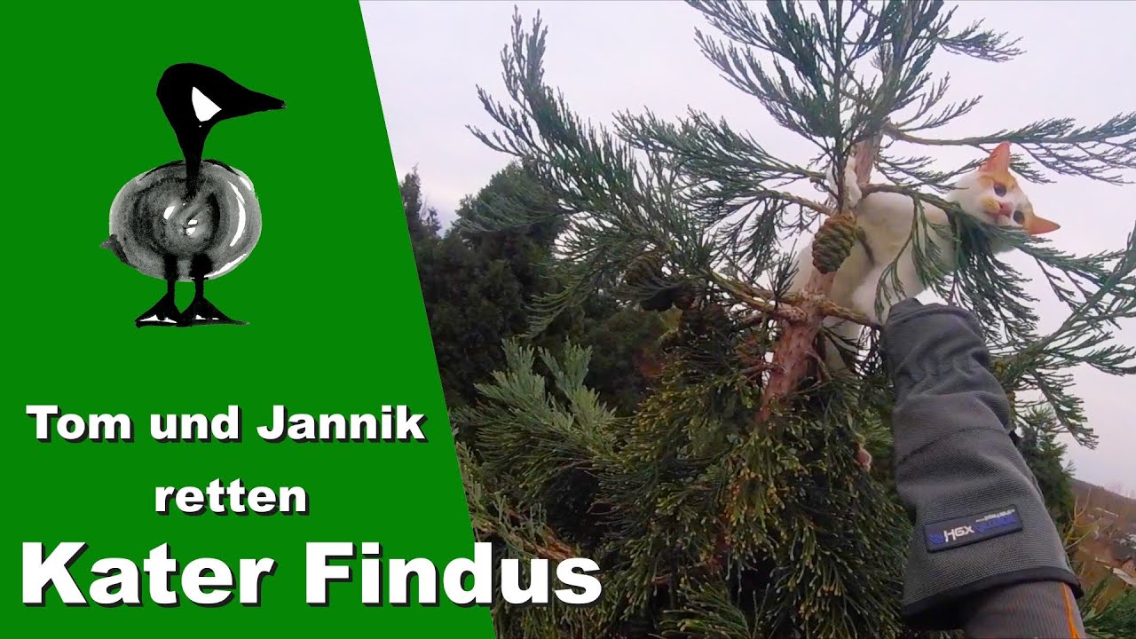 Tom und Jannik retten Kater Findus - Tiernotruf #278