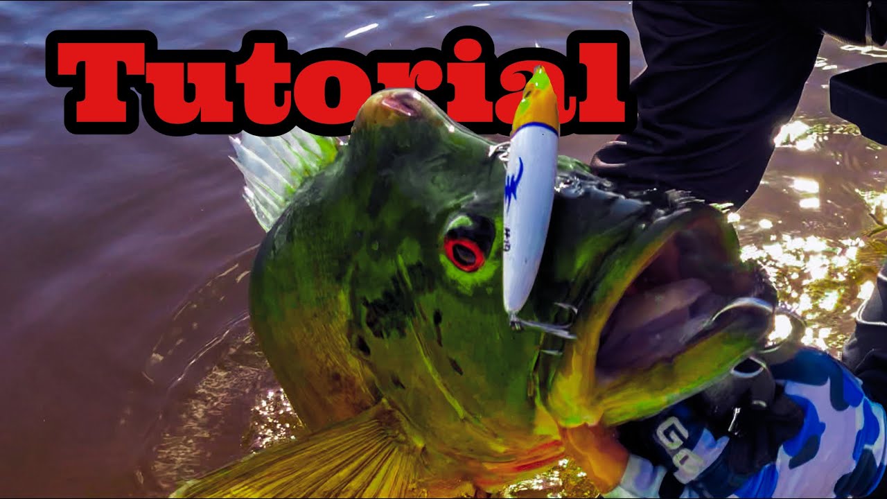 🔴Tutorial Dinamico 🔴| Hector Perez Pescando 🎣