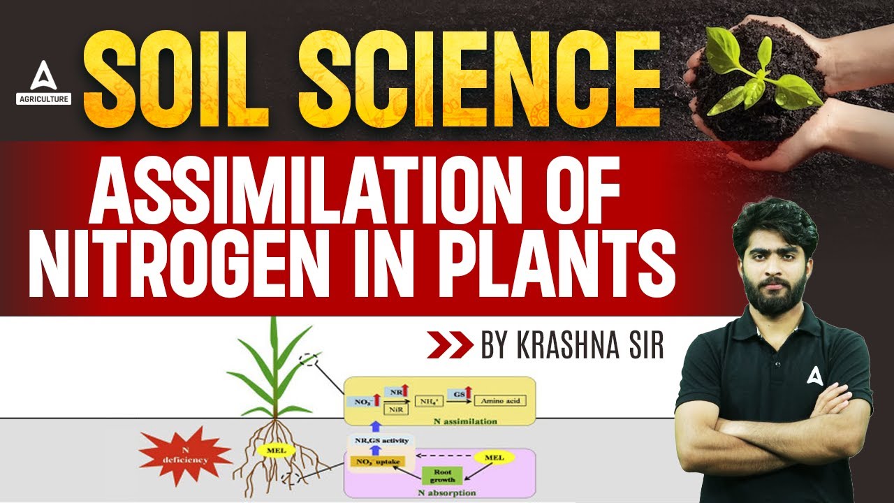 Assimilation of Nitrogen in Plants | Soil Science | Short Concepts Soil Science | By Krashna Sir