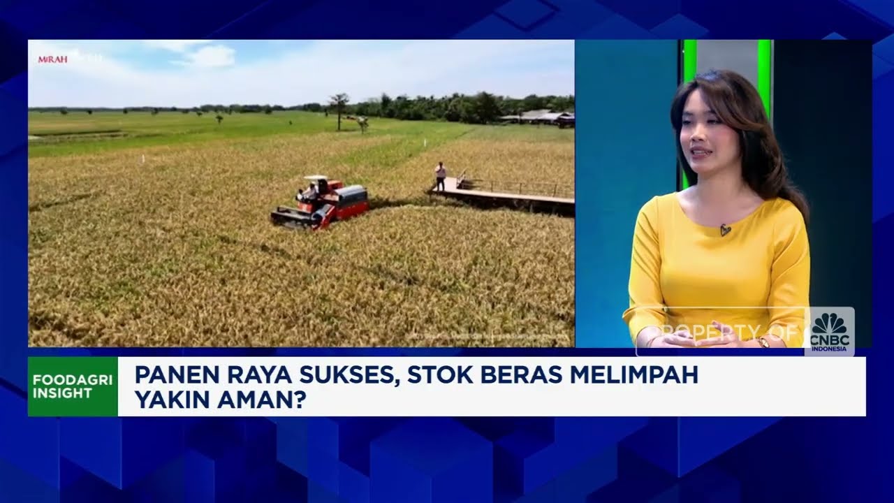 Rekor Serapan Beras Bulog, Yakin Stok & Harga Beras Aman?