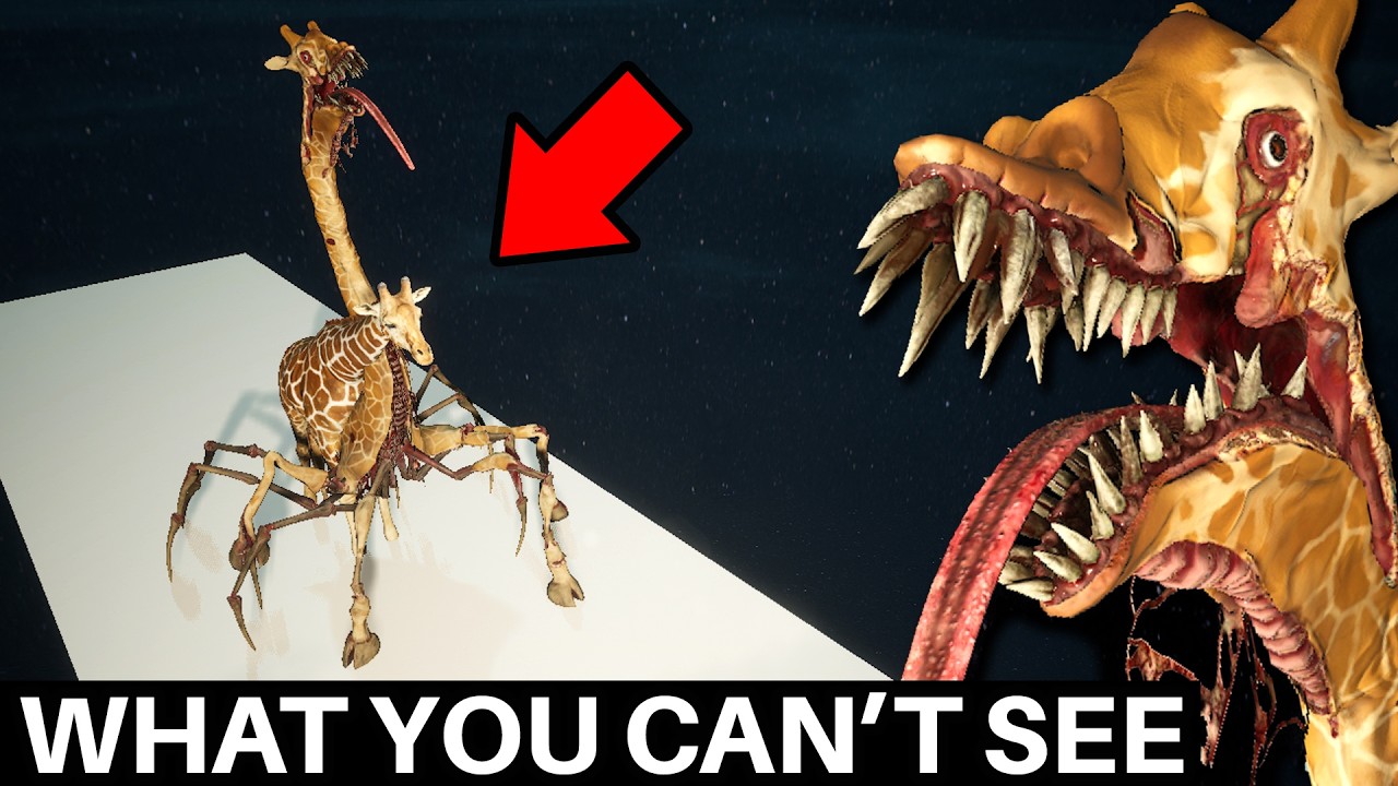 What Zoochosis Hides From You