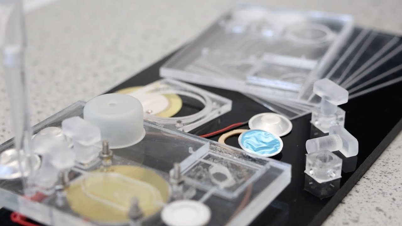 Study MSc Biomedical Engineering at Heriot-Watt University and University of Edinburgh