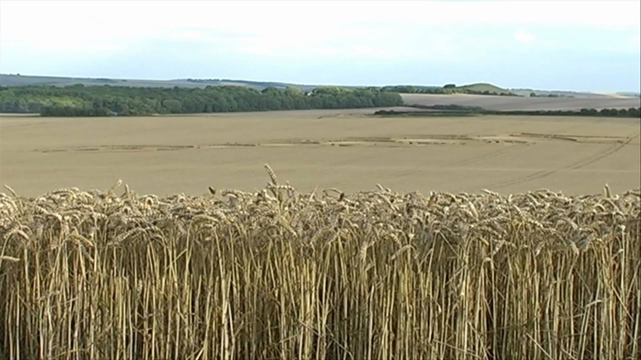 PT picks up his Divine Sword at the Lightsword CropCircle