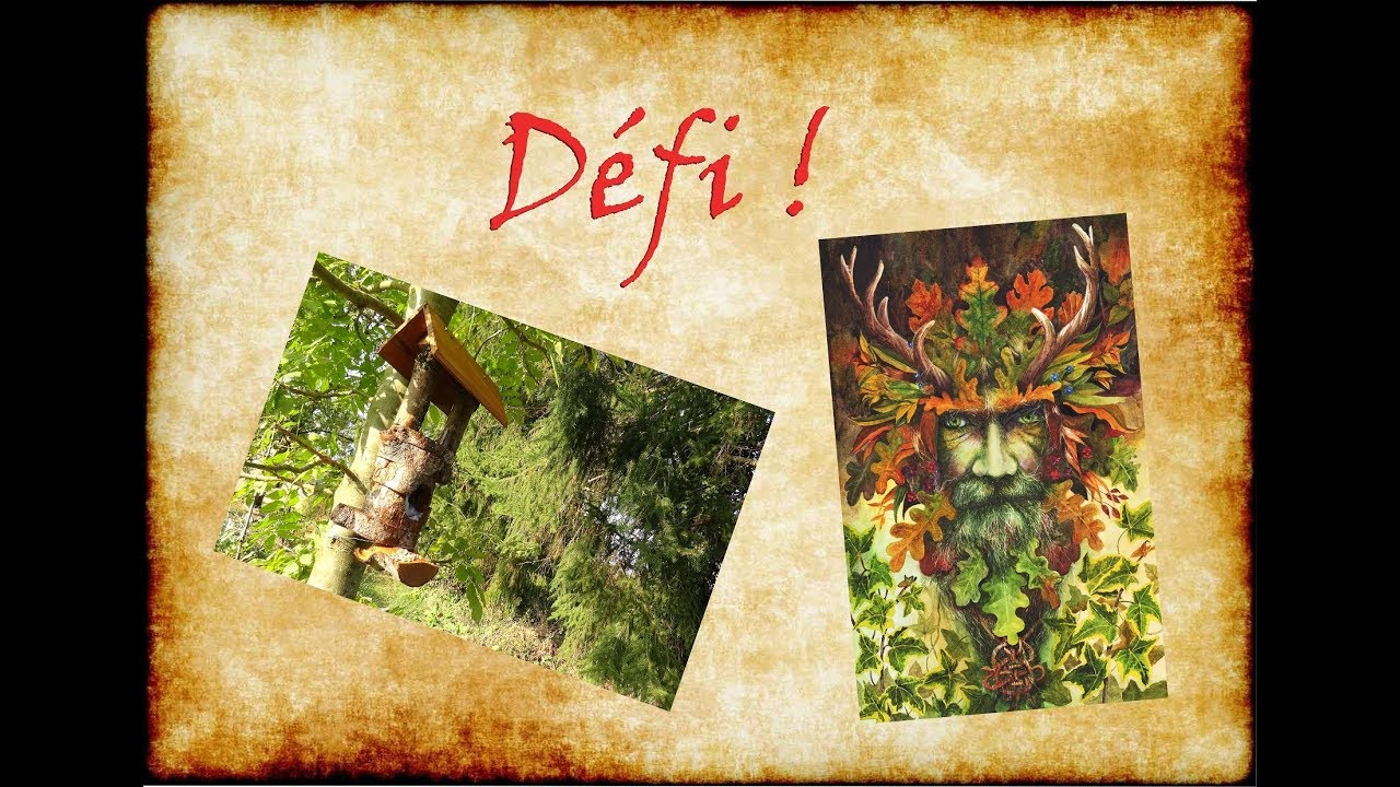 D&eacute;fi de Samonios