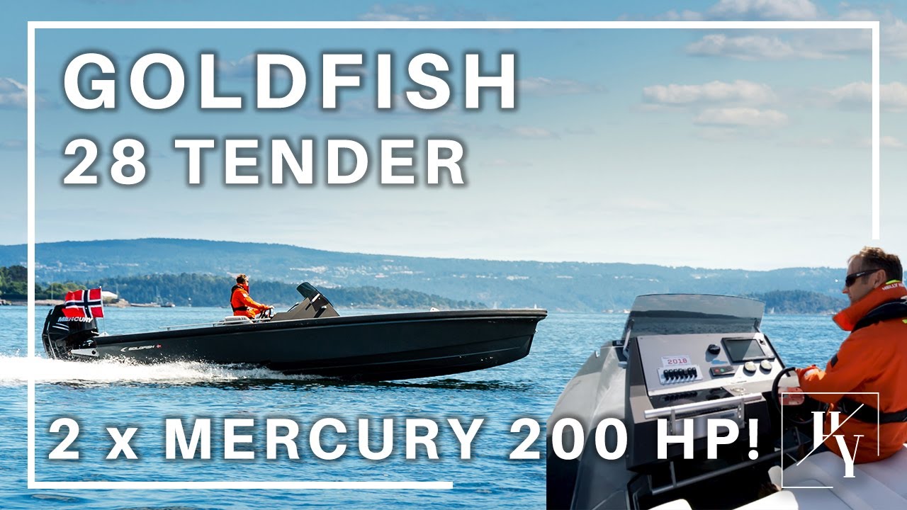 Goldfish 28 Tender | 2 x Mercury 200 HP!