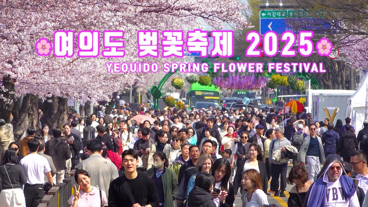 여의도 벚꽃축제 2025 개막!🌸역대급 화려한 행사, 4월 8일 - 4월 12일, 아름다운 여의도 국회 뒤편 벚꽃길 함께 걸어요. 여의도 봄꽃축제 2025, 서울 여행.