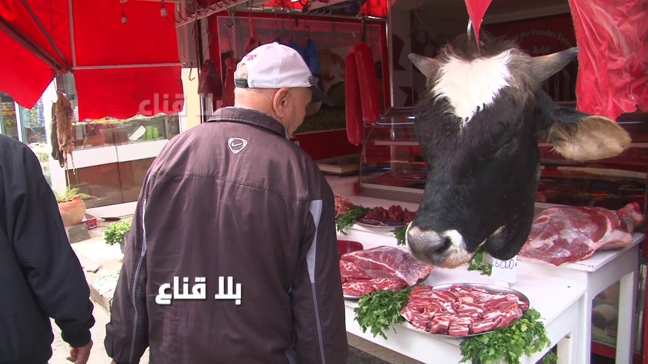 أسعار اللحوم من وراء الخيال..العجل يتعاركو عليه وبالة القرط صبحت بثلاثين دينار..شيء يشبه للكذب !!