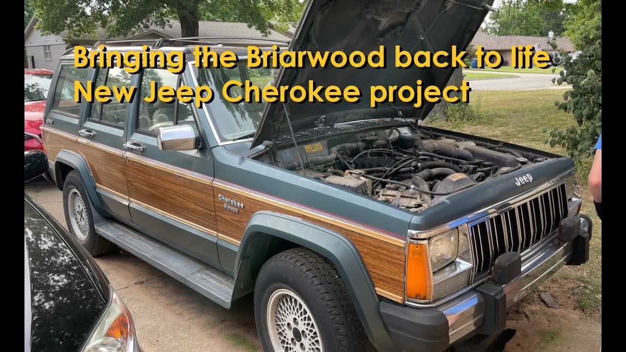Jeep Cherokee Briarwood Revitalization Part 1