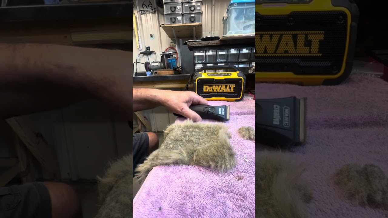 Our way of test cutting a 5-1 blade after sharpening
