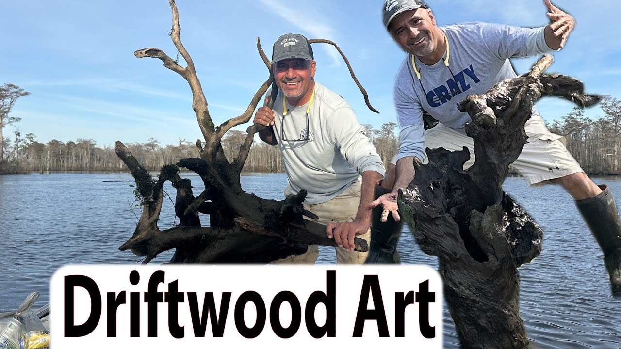 My best driftwood collection day ever for Decoration and Aquarium on this beautiful day