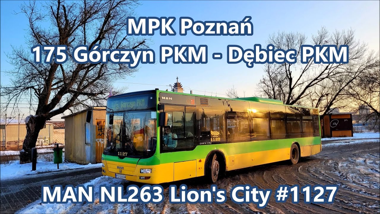 MPK Poznań - linia 175, MAN NL263 Lion's City #1127