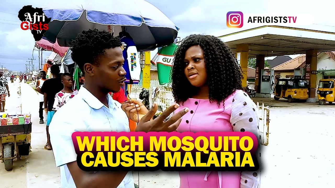 WHICH MOSQUITO CAUSES MALARIA?   #viralvideo #streetquiz #viral