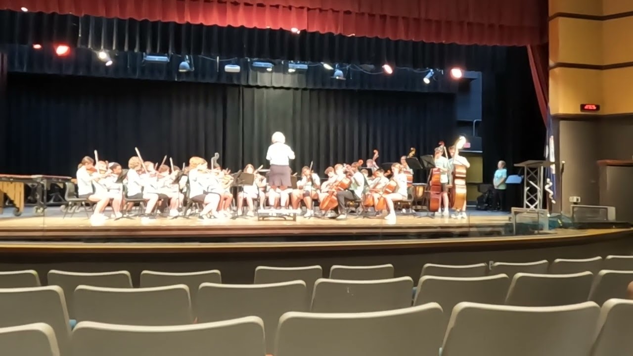 MS Strings Busch 25