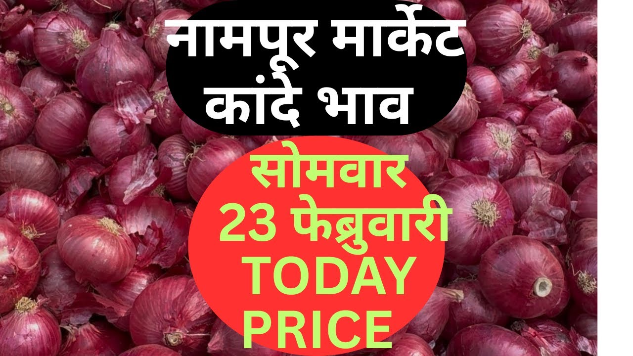 Nampur Onion Price Today/23 February Nashik Onion Prices And Mandi Insights