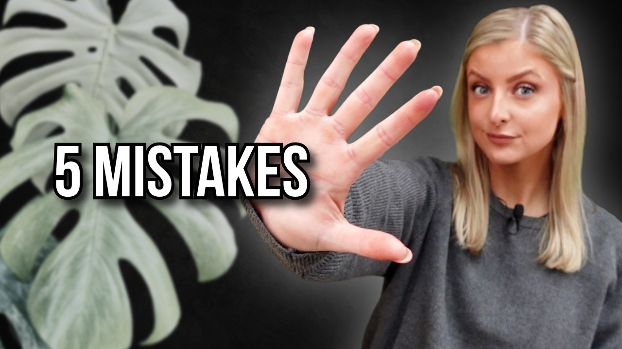 Why everyone is buying houseplants wrong