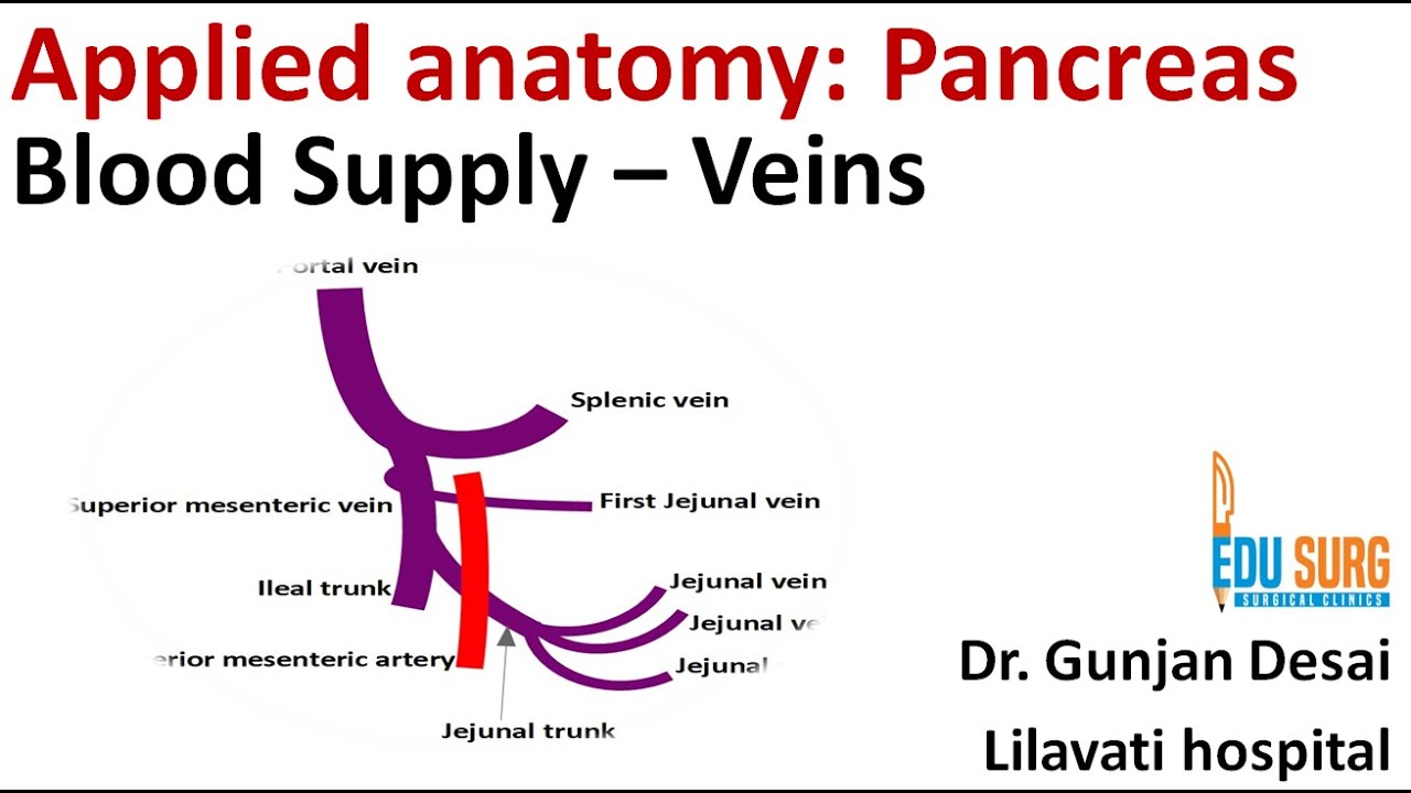 Pancreas blood supply anatomy - Venous drainage