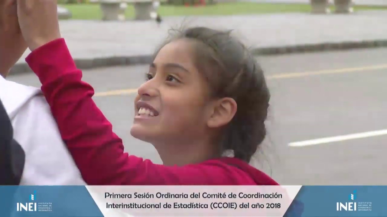 Instituto Nacional de Estadística e Informática - INEI