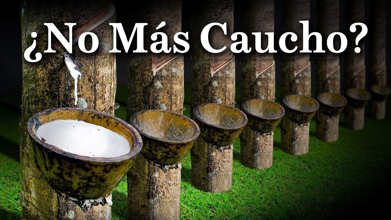 Esto Es El Desastre Natural Por El Que Hay Que Preocuparse