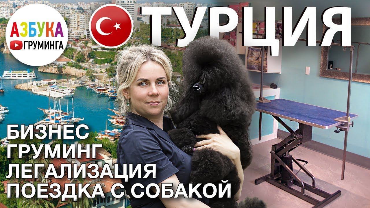 Груминг в Турции. Как стригут собак в Турции