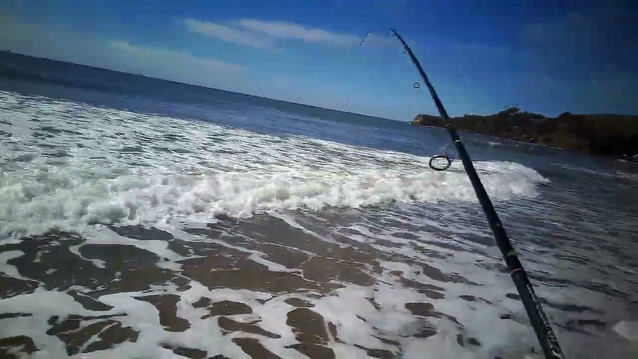 Had two good ones lost both bent out the treble hooks should've had my drag a little looser, 💯💯❤️🎣🎣👍