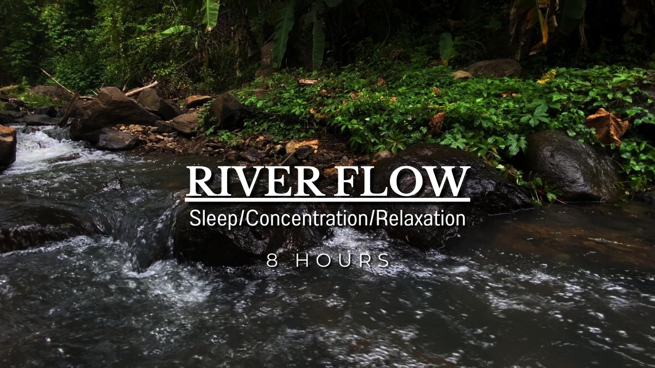 River Flow | ASMR sound of clear water flowing in the forest | Sleep/Concentration/Relaxation