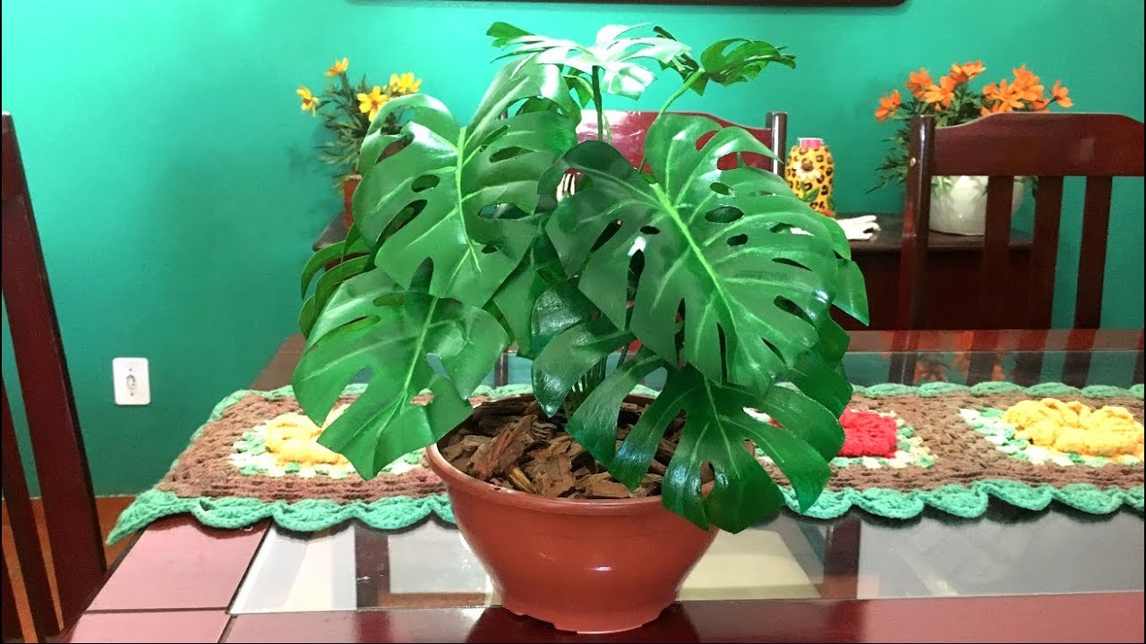 DIY: FOLHAGEM COSTELA DE ADÃO 🍃