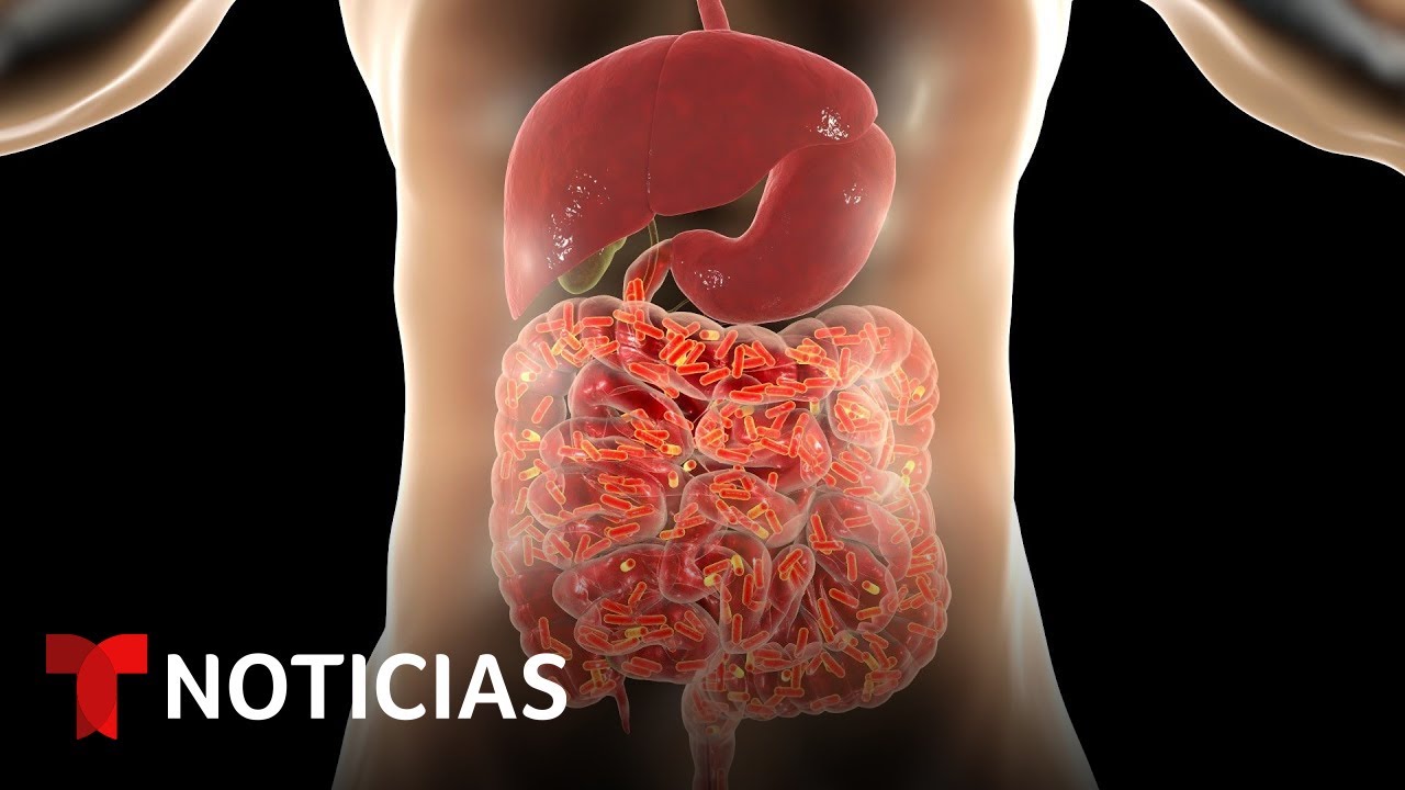 Emplean bacterias intestinales para ayudar a pacientes en quimioterapia | Noticias Telemundo
