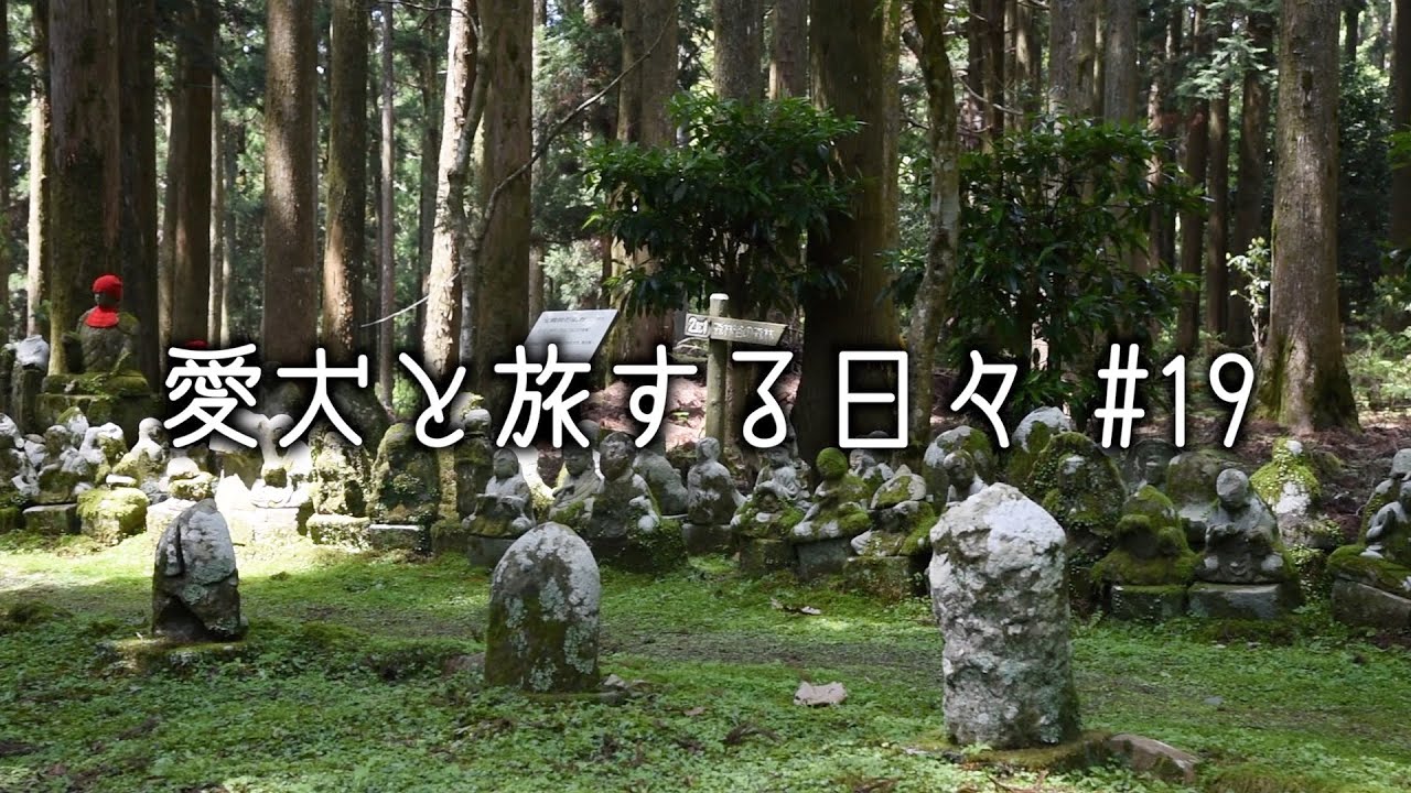 愛犬と西伊豆へ行ったら神々しい景観に圧倒されちゃいました「後編」｜西伊豆・松崎町・富貴野山宝蔵院石仏群