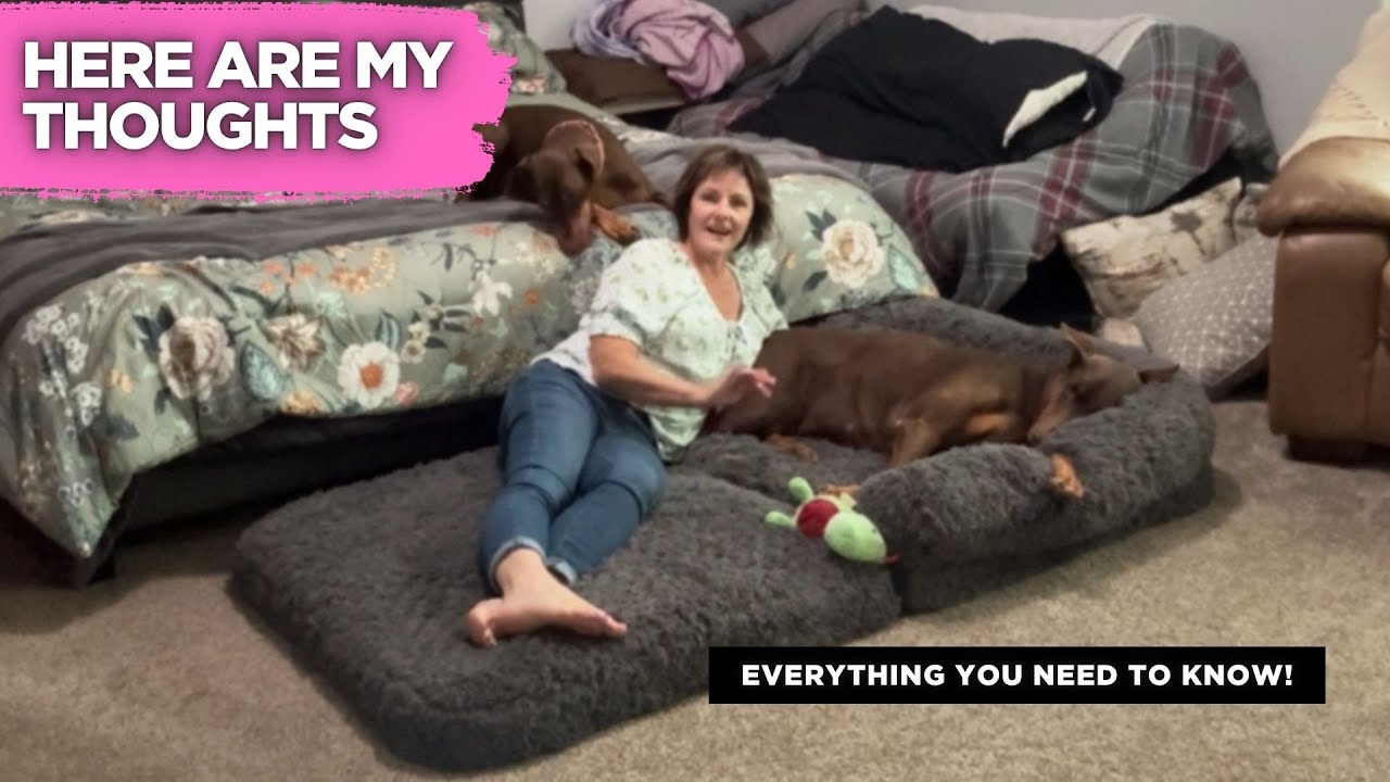 Bedsure Human Dog Bed Review: Is It Really Worth the Hype?