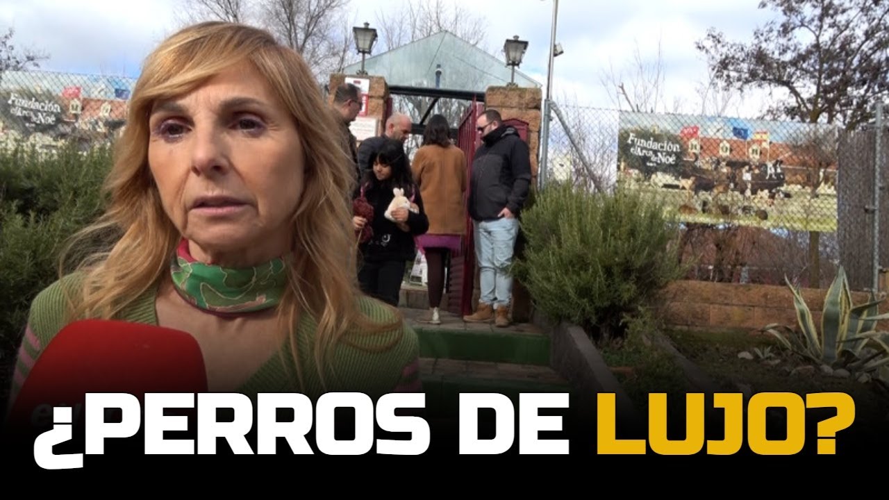 ¡TAMARA FALCÓ EN EL OJO DEL HURACÁN! Alejandra Botto la defiende tras su última compra