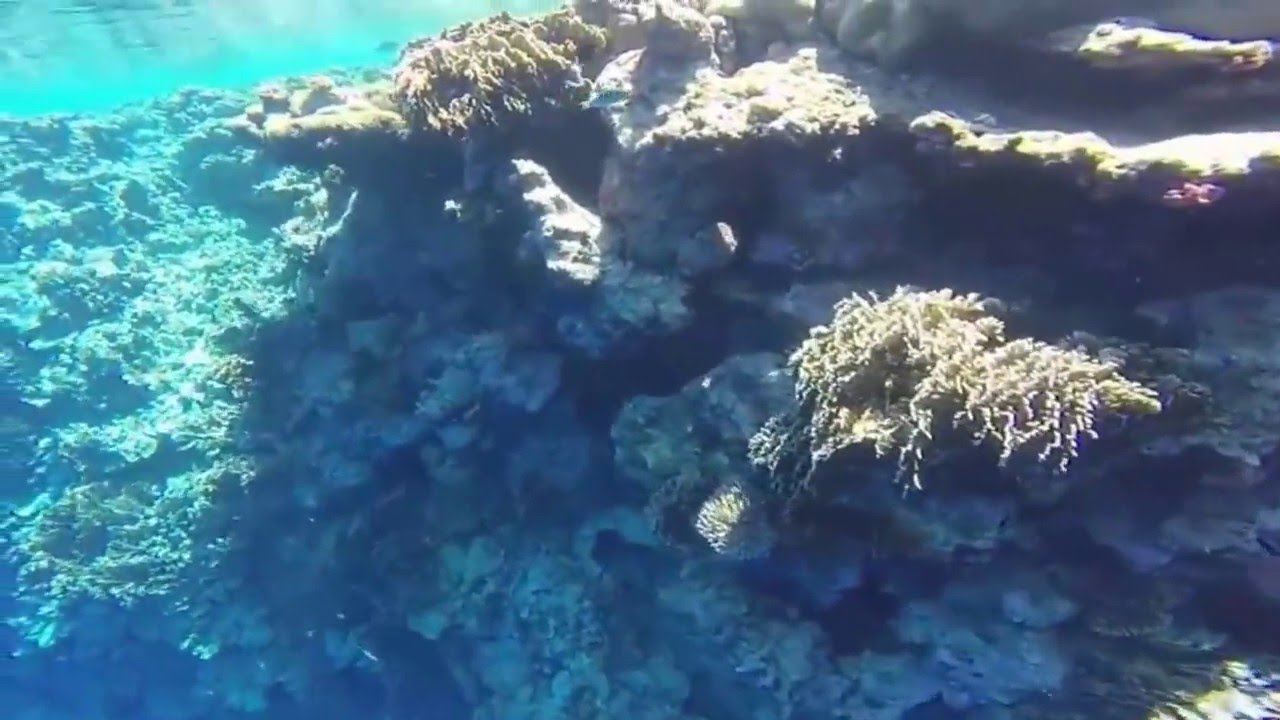 Ant Atoll Part 1 - October. 2015