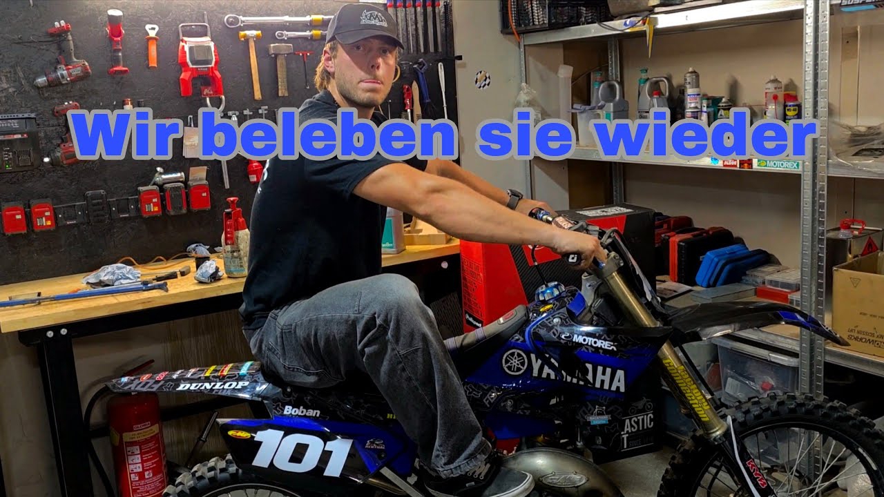 Wiederbelebung | KlausaRiding
