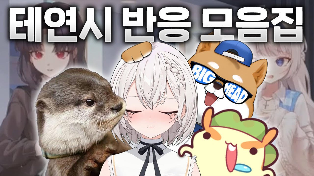 고소 자료