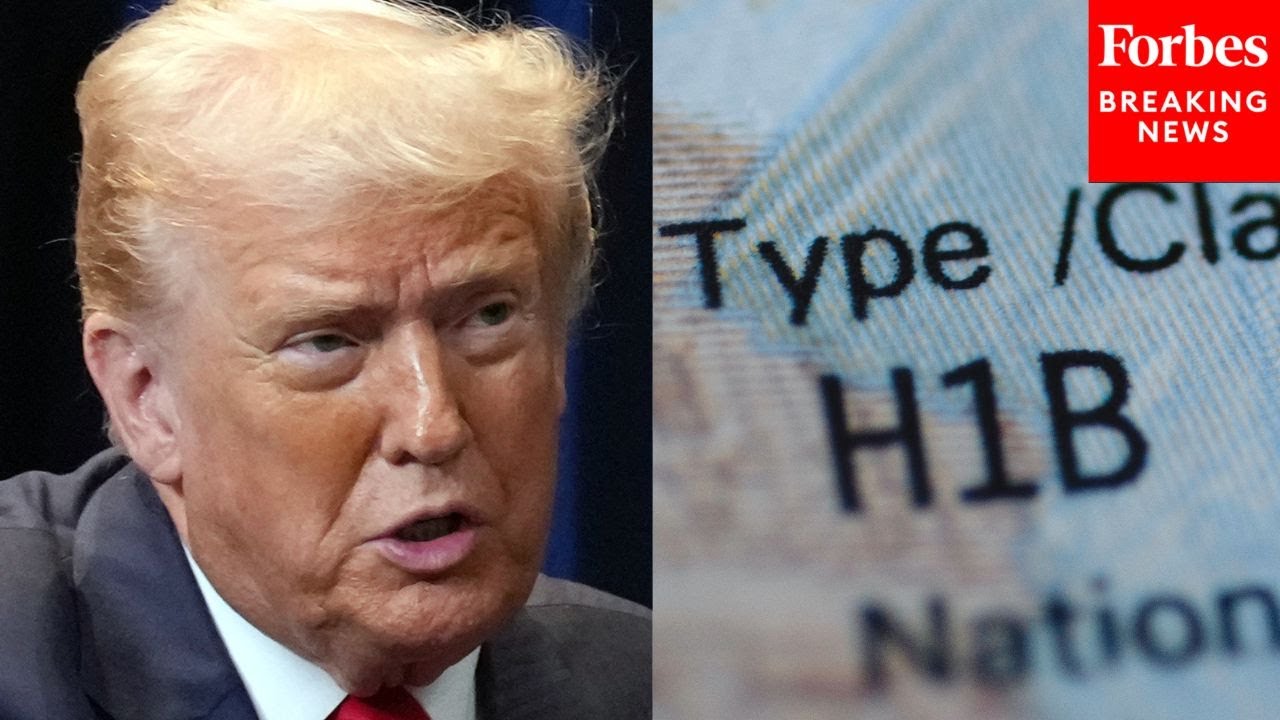 Trump Defends Need For H-1B Visas In Fox News Interview