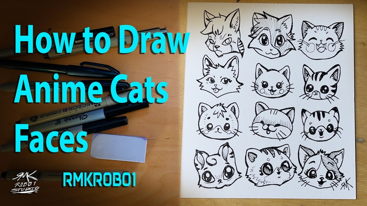 How to Draw Anime Cats Faces 4